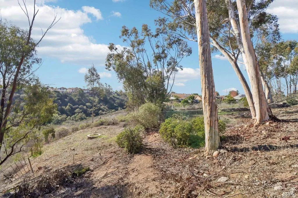 Additional image 90 of 7387 New Salem Street, San Diego, CA 92126