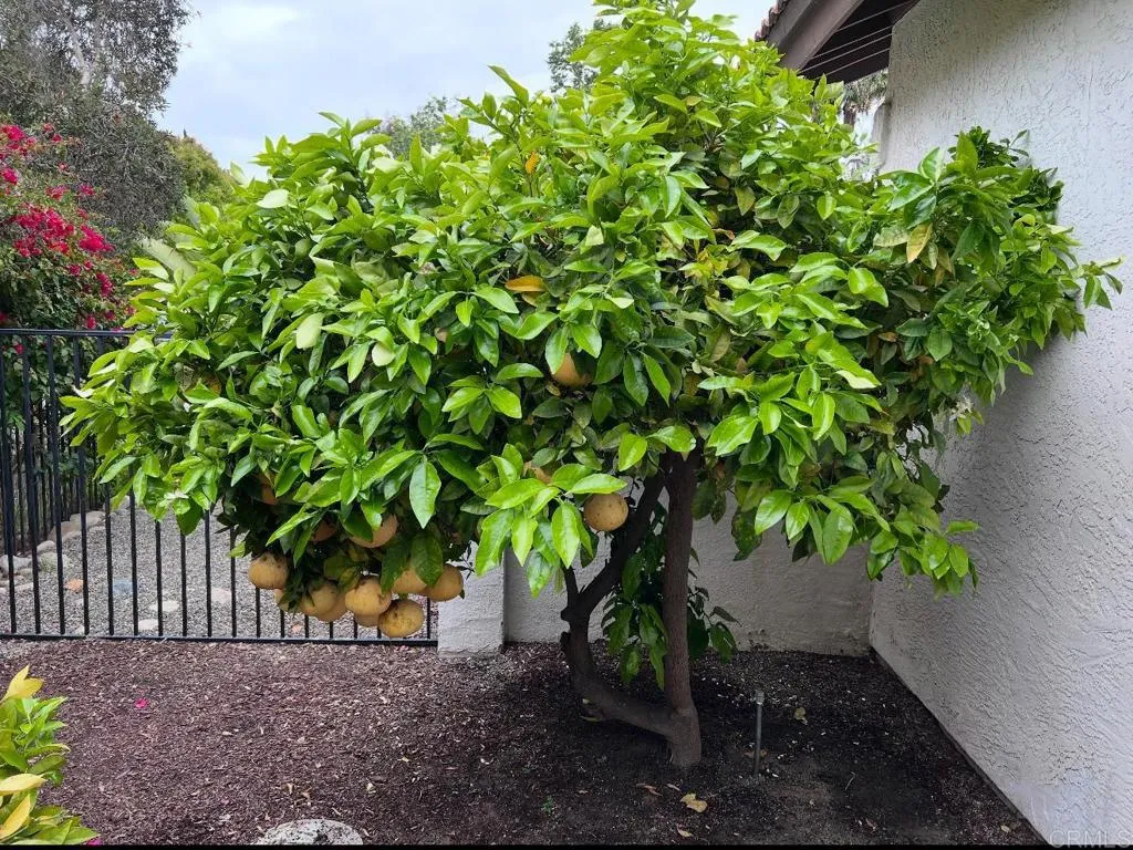 Additional image 107 of 2070 Tiffany Drive, Oceanside, CA 92056