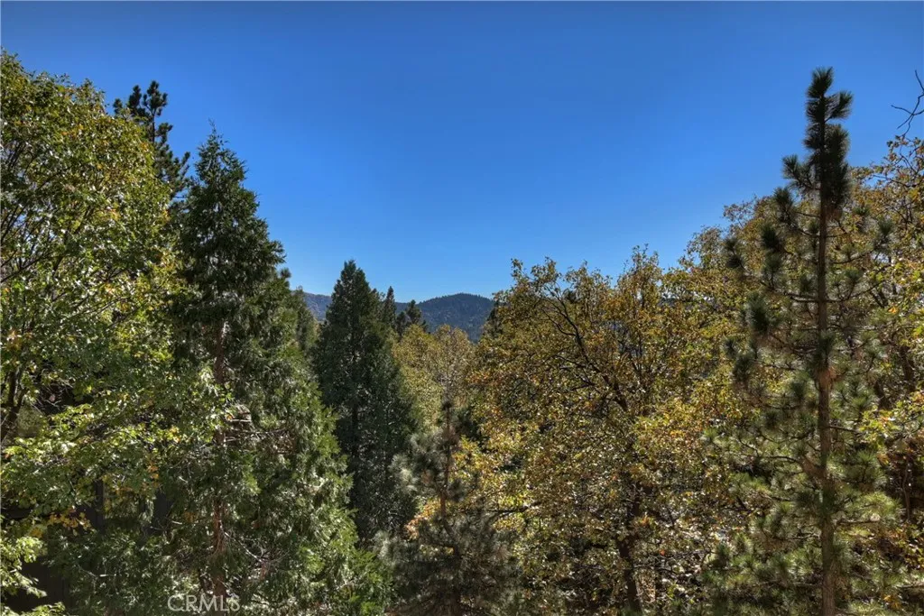 Additional image 82 of 27721 St Bernard Lane, Lake Arrowhead, CA 92352