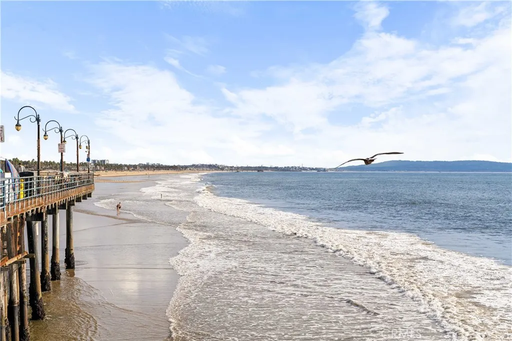 Additional image 12 of 713 Flower Ave, Venice, CA 90291