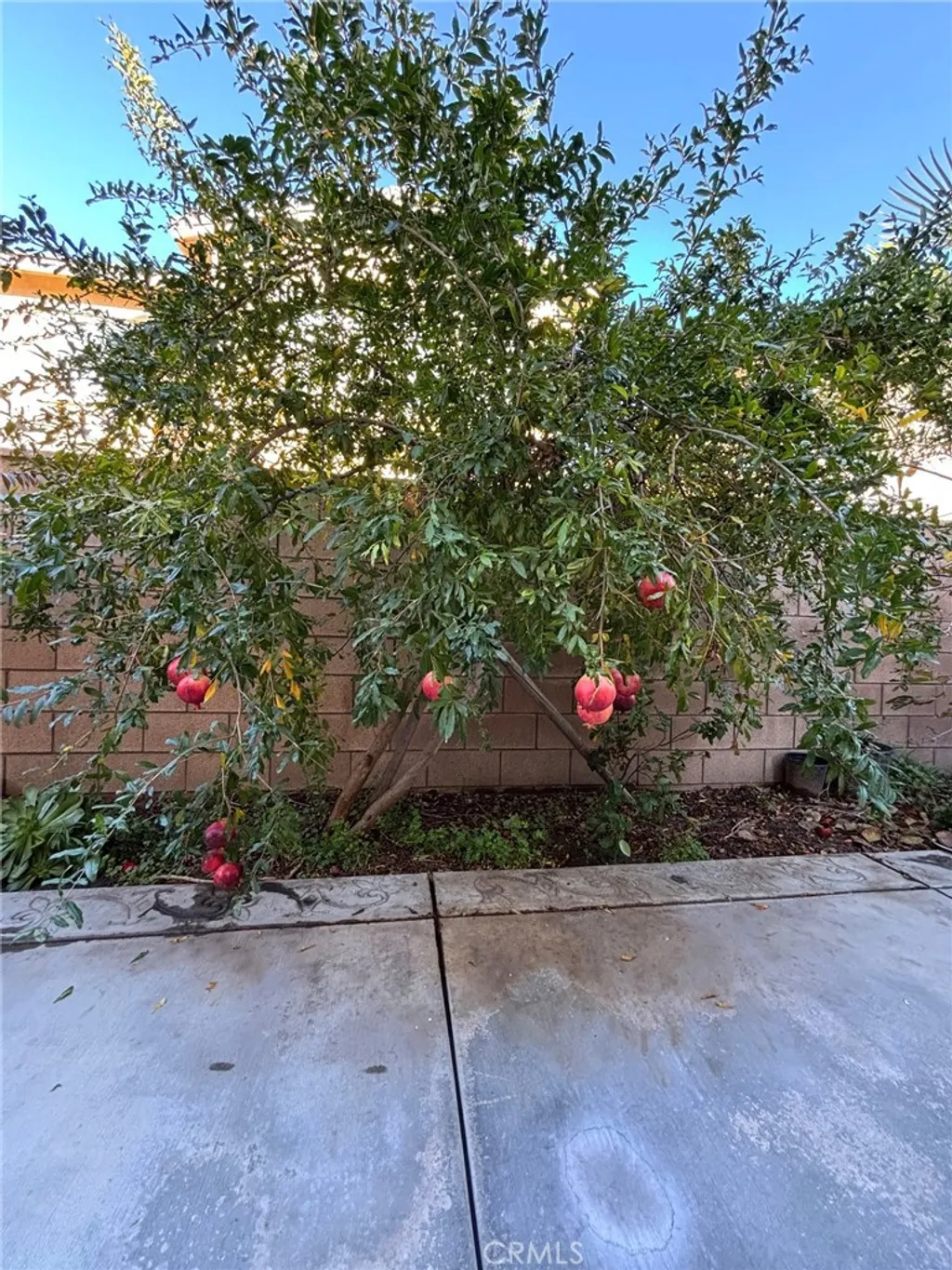 4863 S Bountiful Trail, Ontario, CA 91762