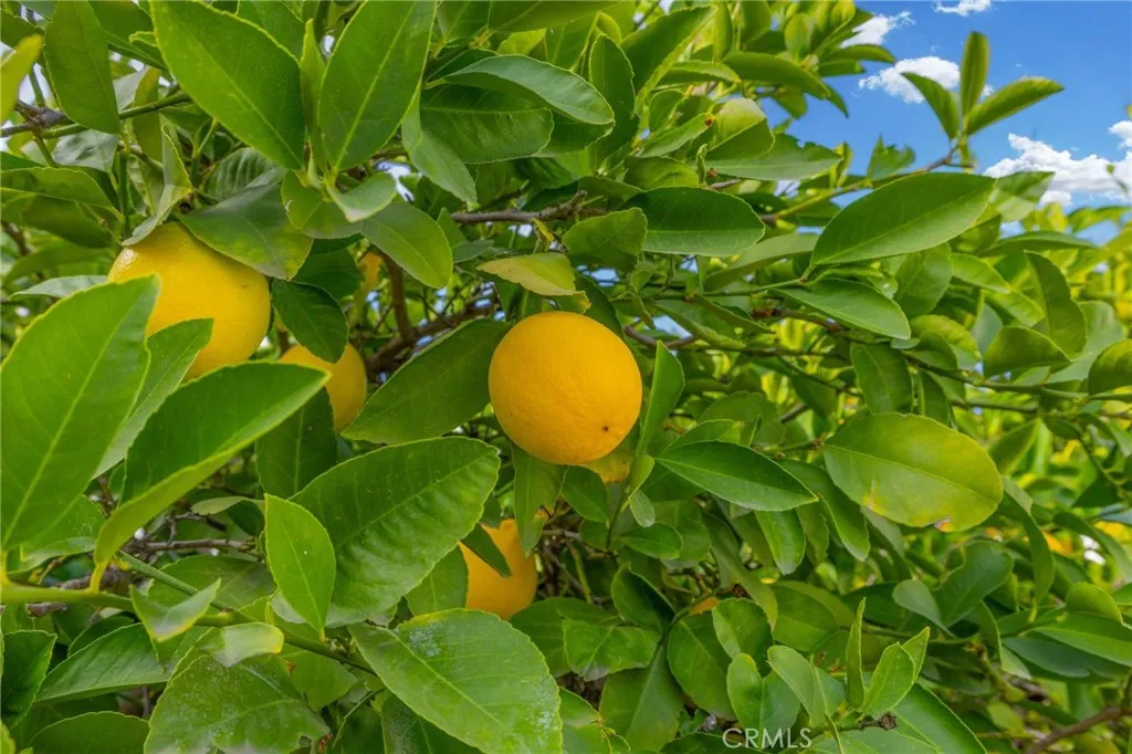 Additional image 44 of 2616 La Paz Avenue, Hemet, CA 92545