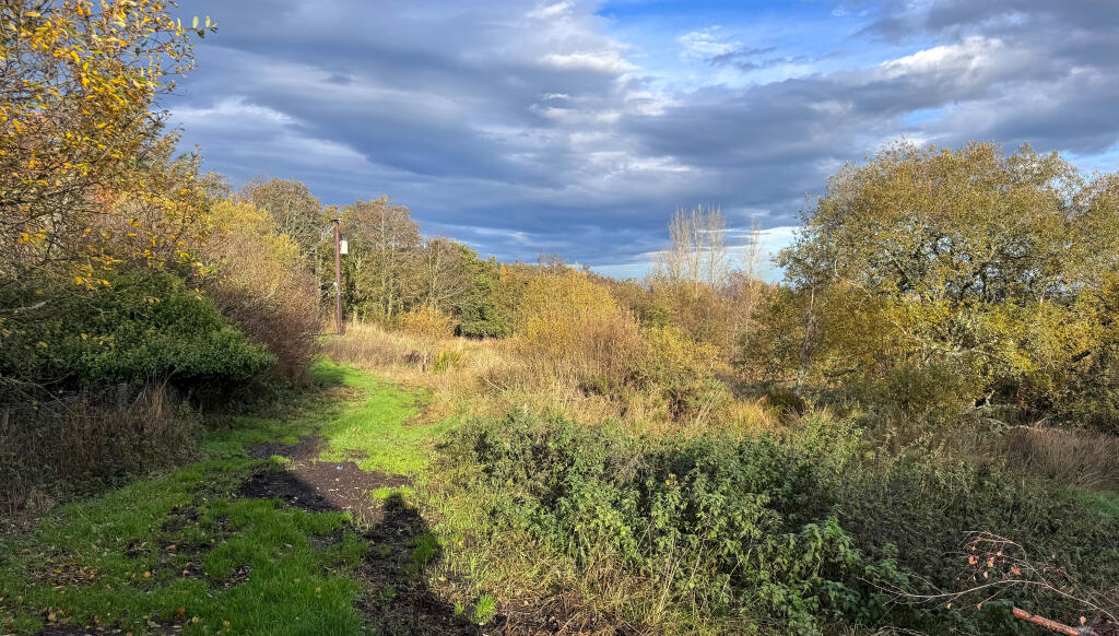 Additional image 26 of Nr Cornhill, Banff, AB45