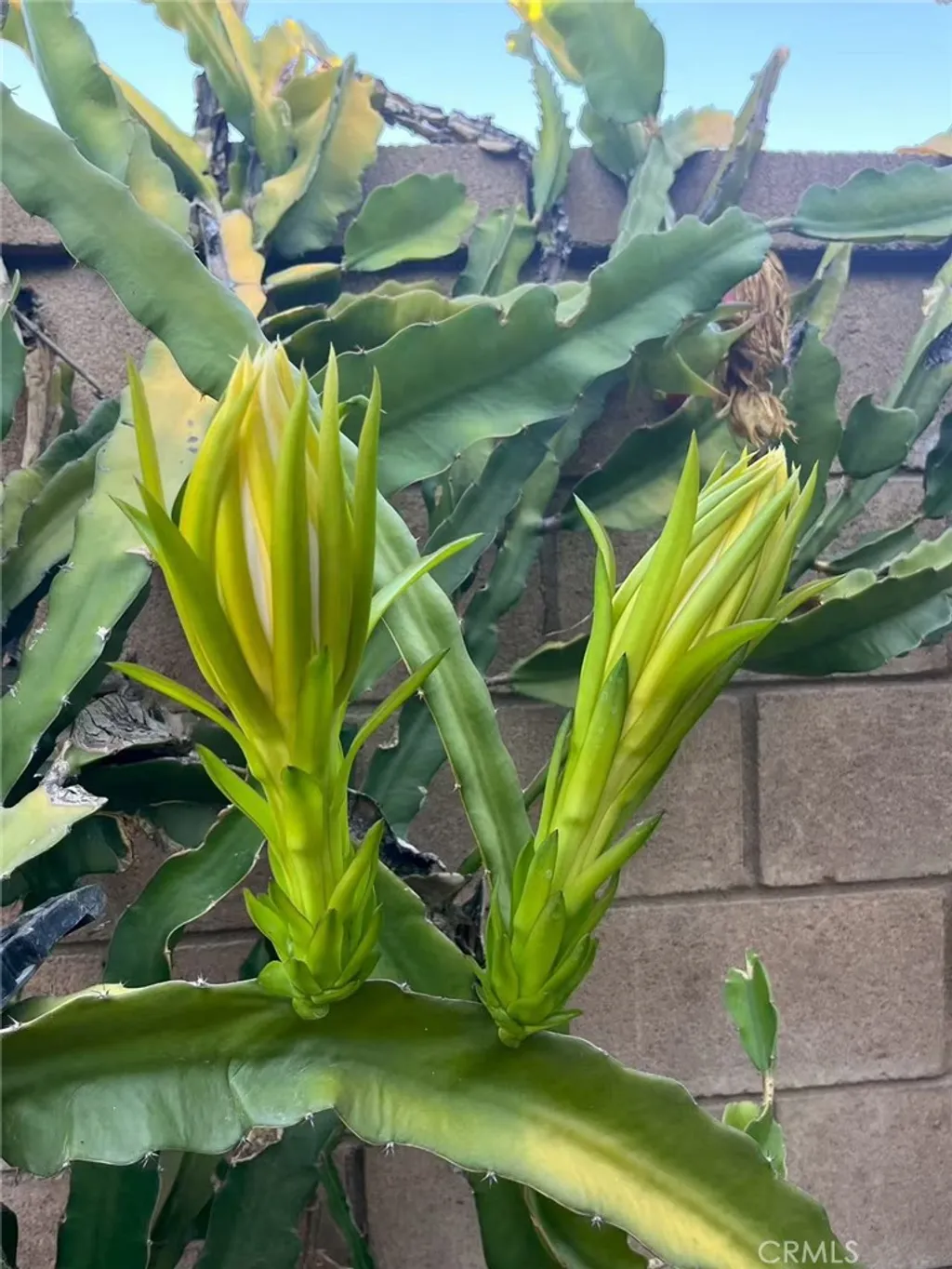 Additional image 26 of 1662 Palermo Dr, Riverside, CA 92507