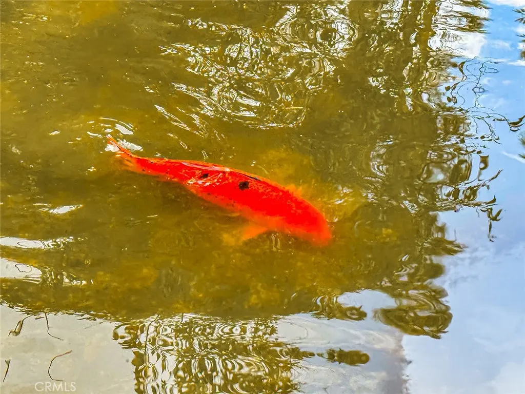 Additional image 89 of 7050 Shoup Ave Unit 163, Canoga Park, CA 91303