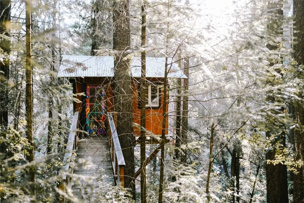 Additional image 62 of 15960 Bottle Rock Rd, Cobb, CA 95426