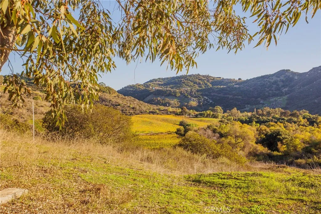 Additional image 61 of 31331 Rancho Amigos Rd, Bonsall, CA 92003