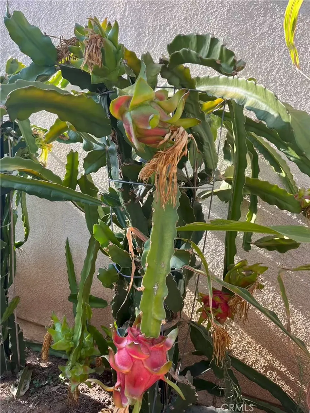 Additional image 27 of 1662 Palermo Dr, Riverside, CA 92507