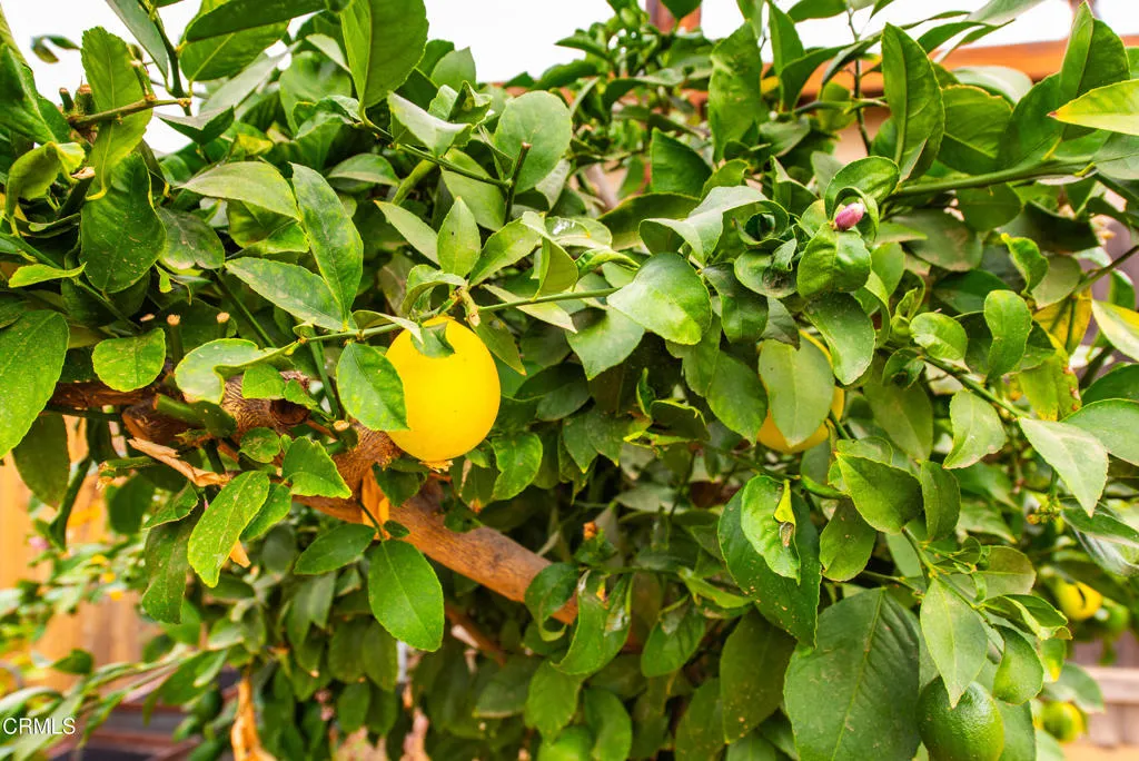 Additional image 52 of 2659 Elizondo Avenue, Simi Valley, CA 93065