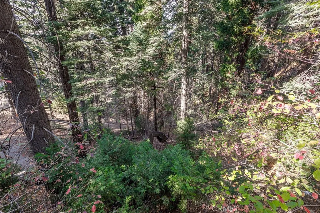 Additional image 48 of 529 West Victoria Court, Lake Arrowhead, CA 92352