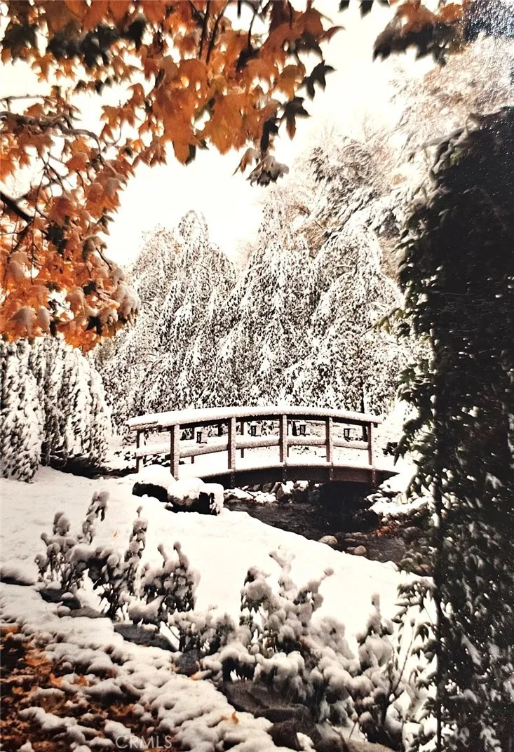 Additional image 94 of 323 Alder, Lytle Creek, CA 92358