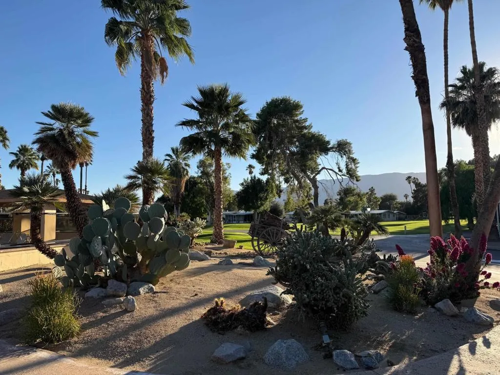 Additional image 95 of 1010 Palm Canyon Drive Unit 264, Borrego Springs, CA 90224