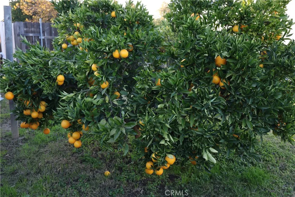 Additional image 77 of 1311 6th Ave, Corning, CA 96021