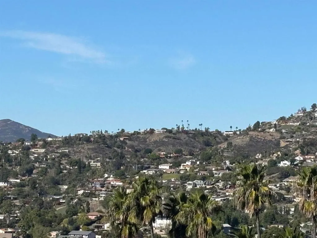 Additional image 59 of 10050 Cristobal Drive, Spring Valley, CA 91977