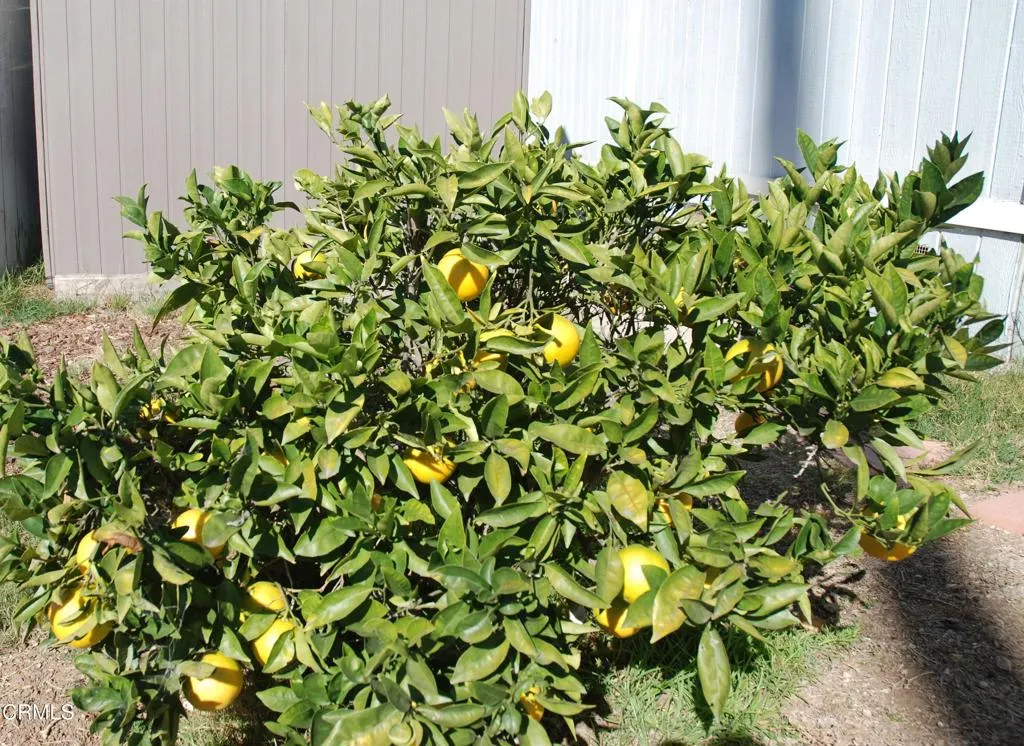 Additional image 30 of 4388 E Central Avenue Unit 63, Camarillo, CA 93010