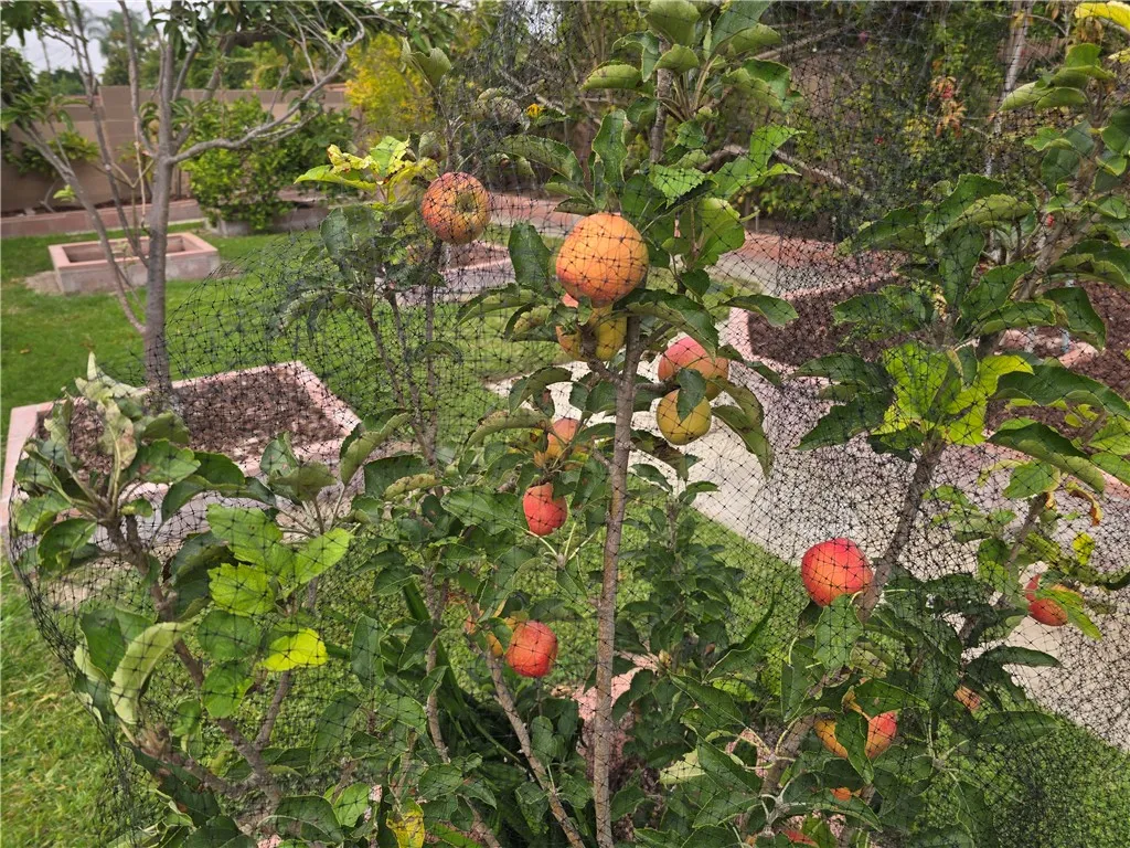 Additional image 32 of 3115 W Teranimar Dr, Anaheim, CA 92804