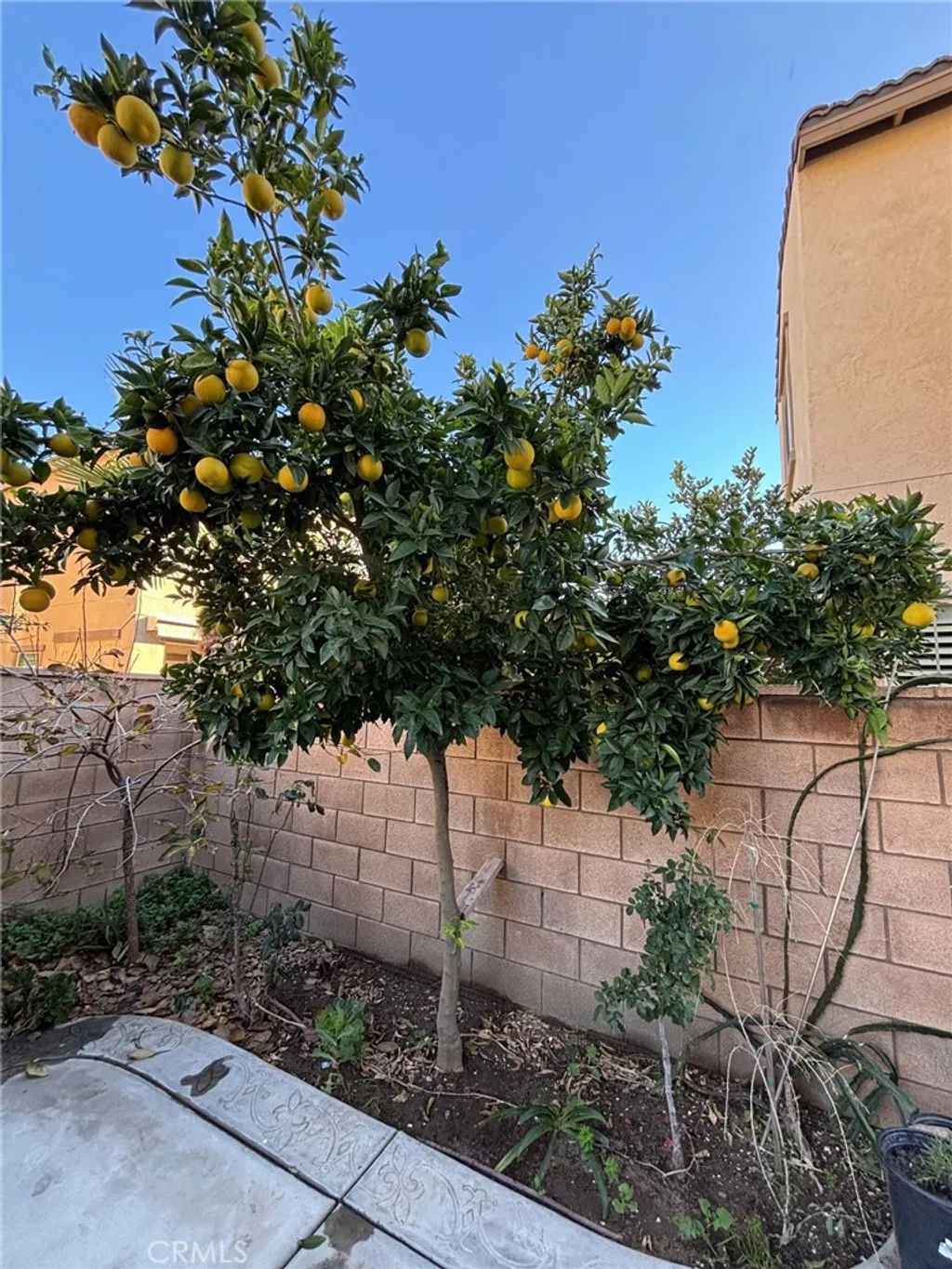 Additional image 16 of 4863 S Bountiful Trail, Ontario, CA 91762