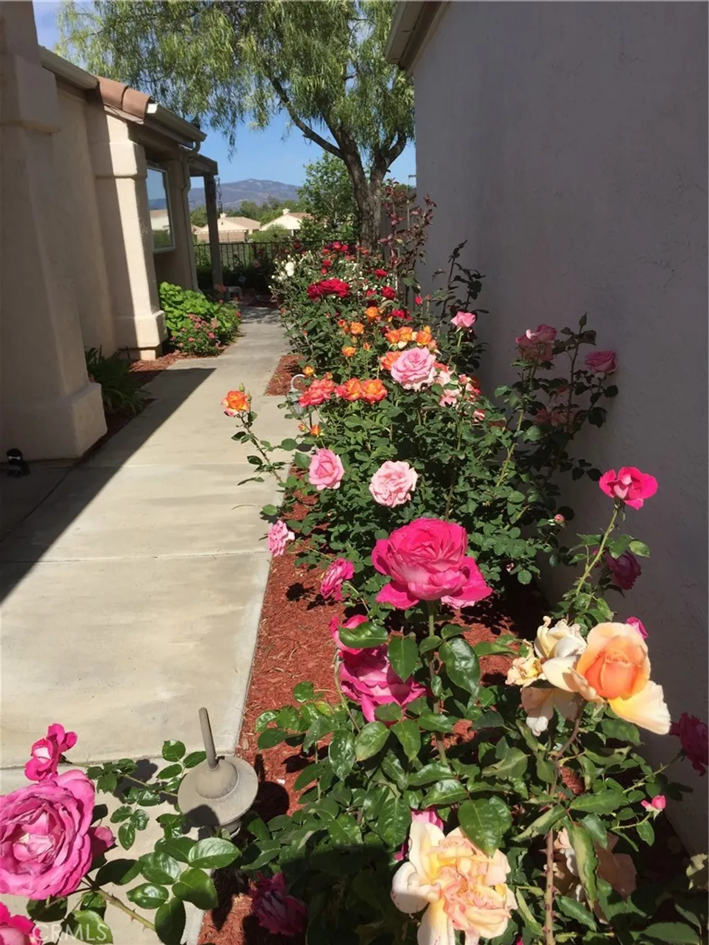 Additional image 52 of 40083 Corte Lorca, Murrieta, CA 92562