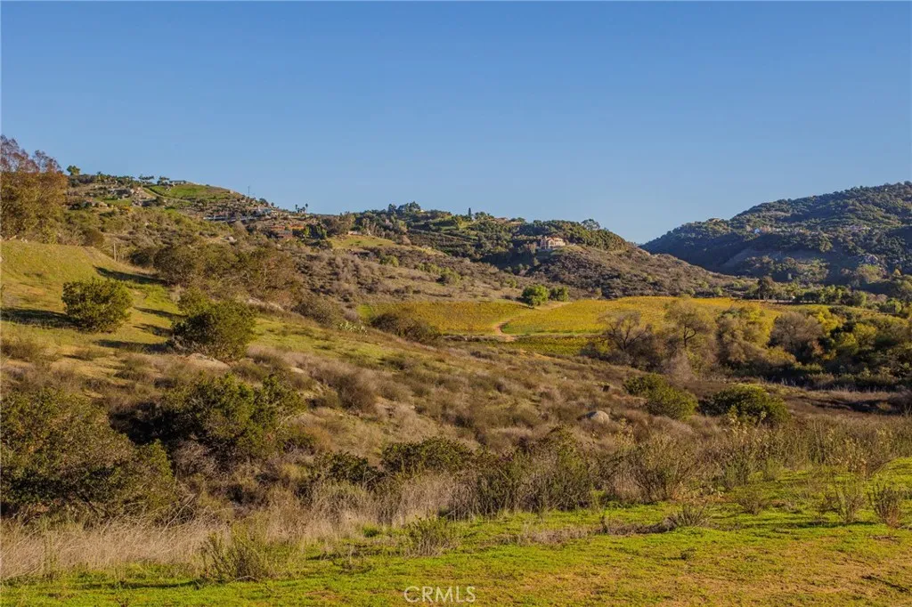 Additional image 121 of 31331 Rancho Amigos Rd, Bonsall, CA 92003