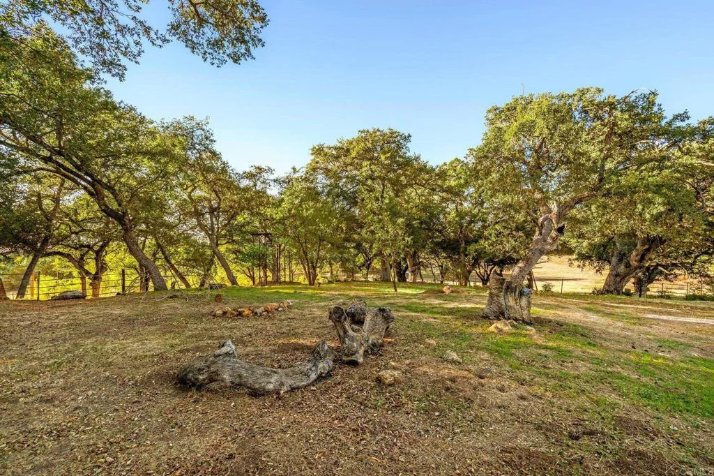 Additional image 43 of 25258 Black Canyon Road, Santa Ysabel, CA 92070