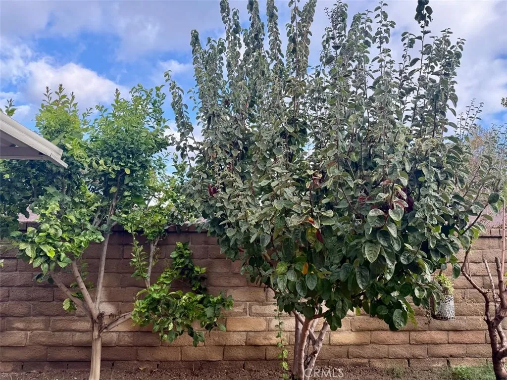 Additional image 17 of 24305 Wabuska St, Newhall, CA 91321