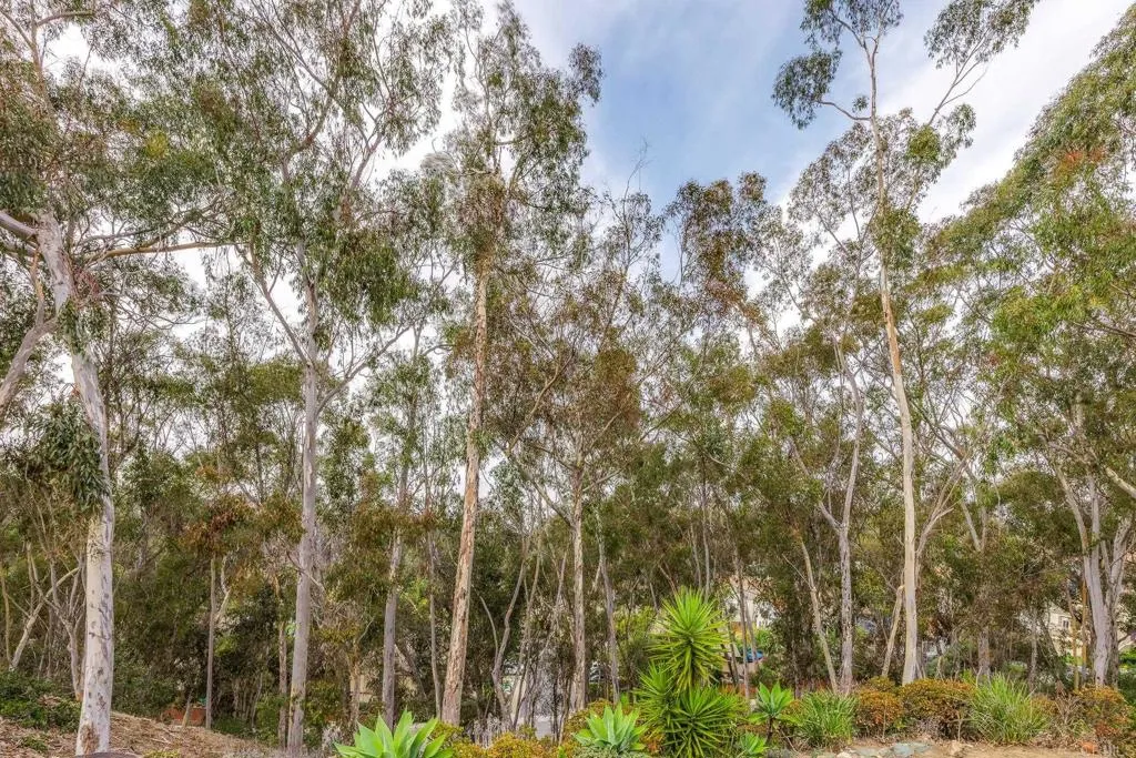 Additional image 39 of 2062 Avenue Of The Trees, Carlsbad, CA 92008