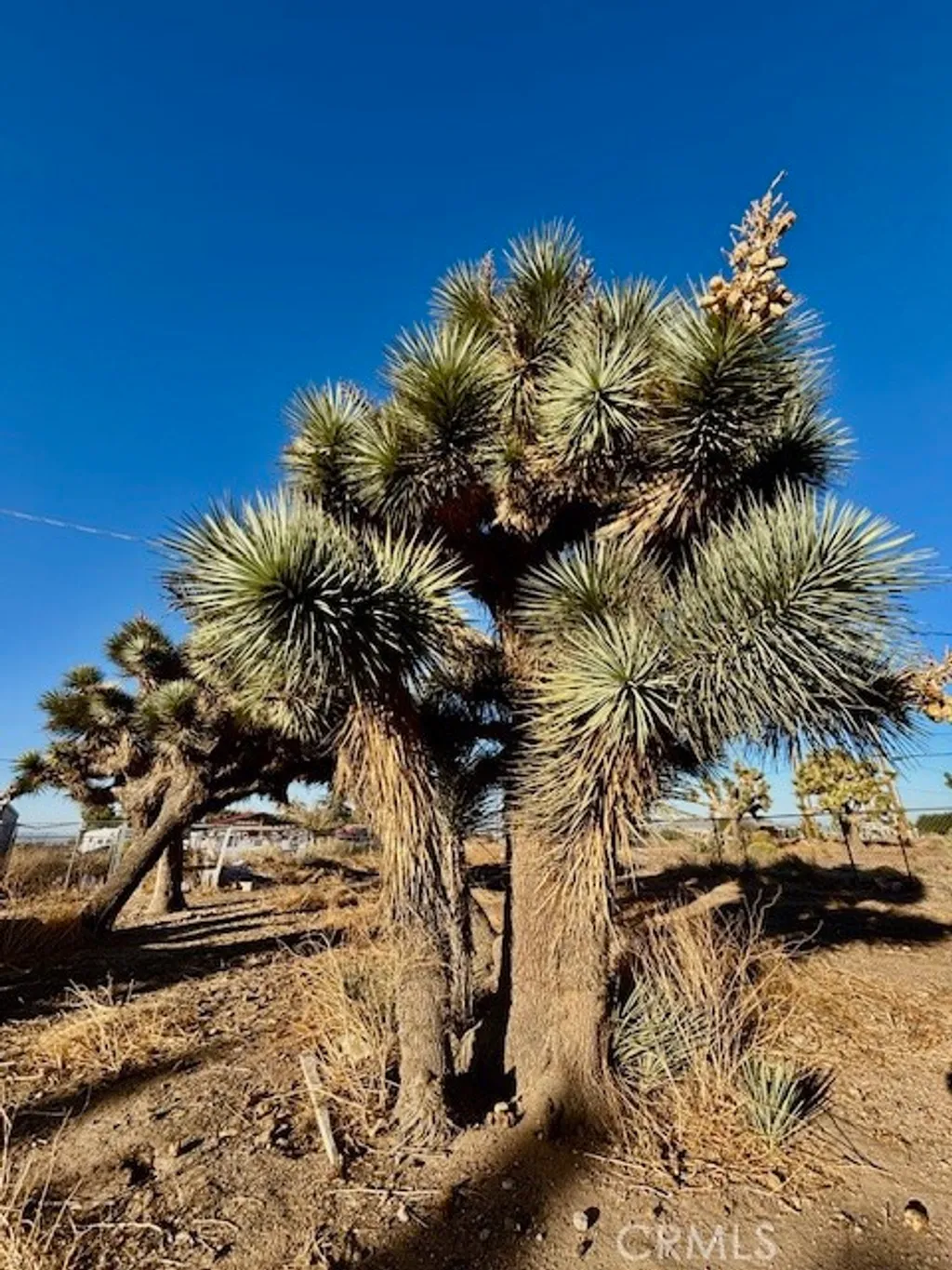 9950 Sonora Road, Phelan, CA 92371