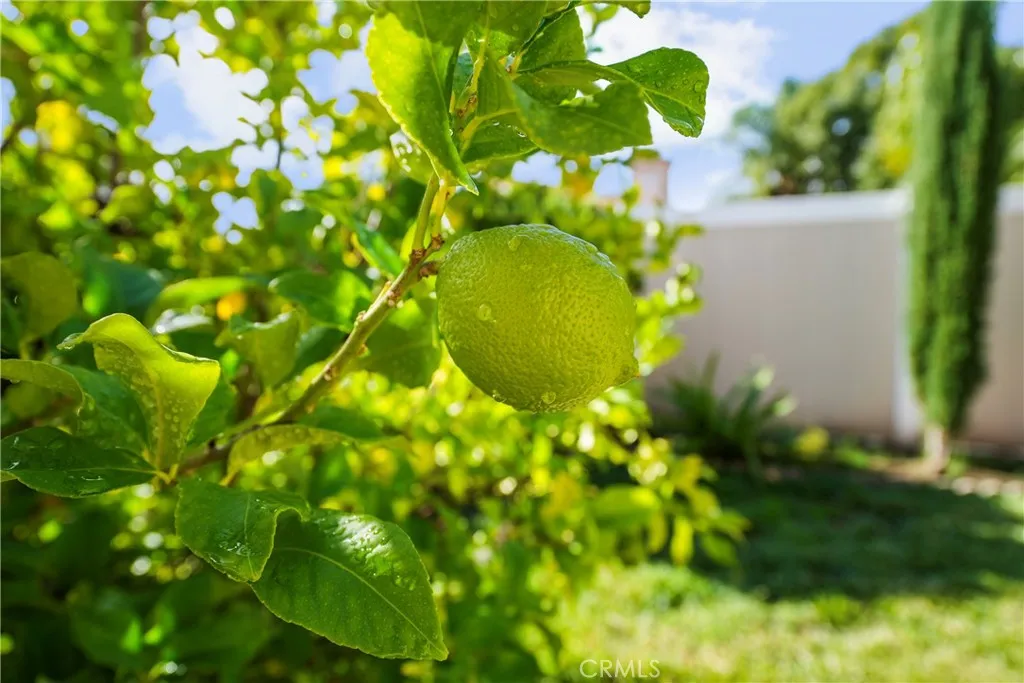 Additional image 34 of 24385 Via Las Junitas, Murrieta, CA 92562