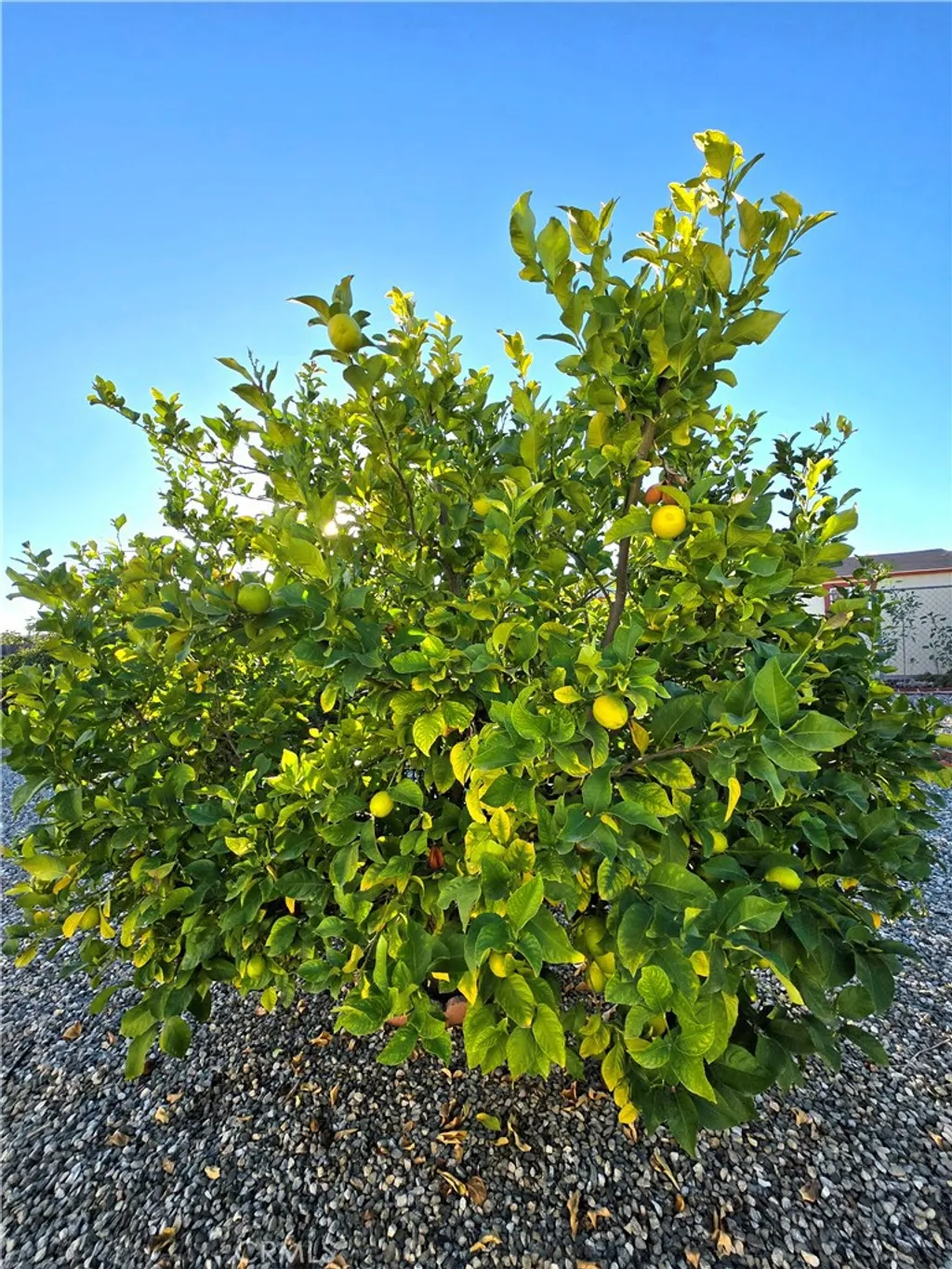 Additional image 39 of 27107 Flagler Street, Menifee, CA 92586