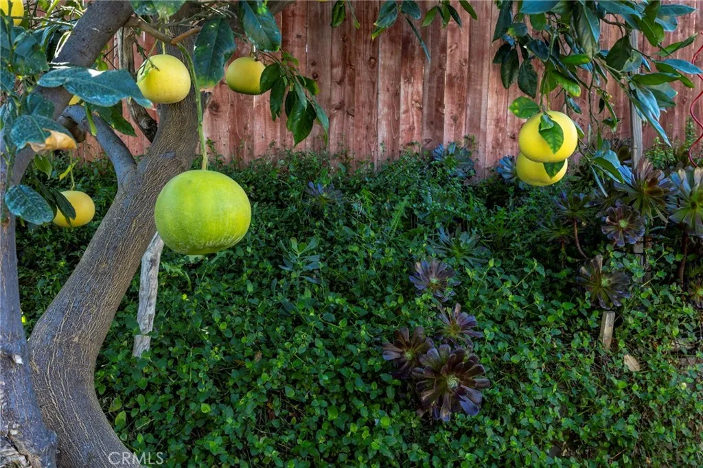 Additional image 28 of 10022 Chula Vista Way, Riverside, CA 92503