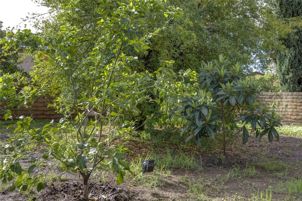 Additional image 94 of 20442 Runnymede, Winnetka, CA 91306