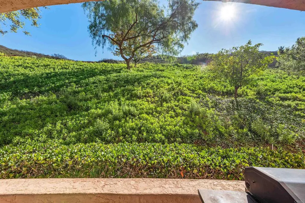 Additional image 42 of 18515 Caminito Pasadero Unit 347, San Diego, CA 92128