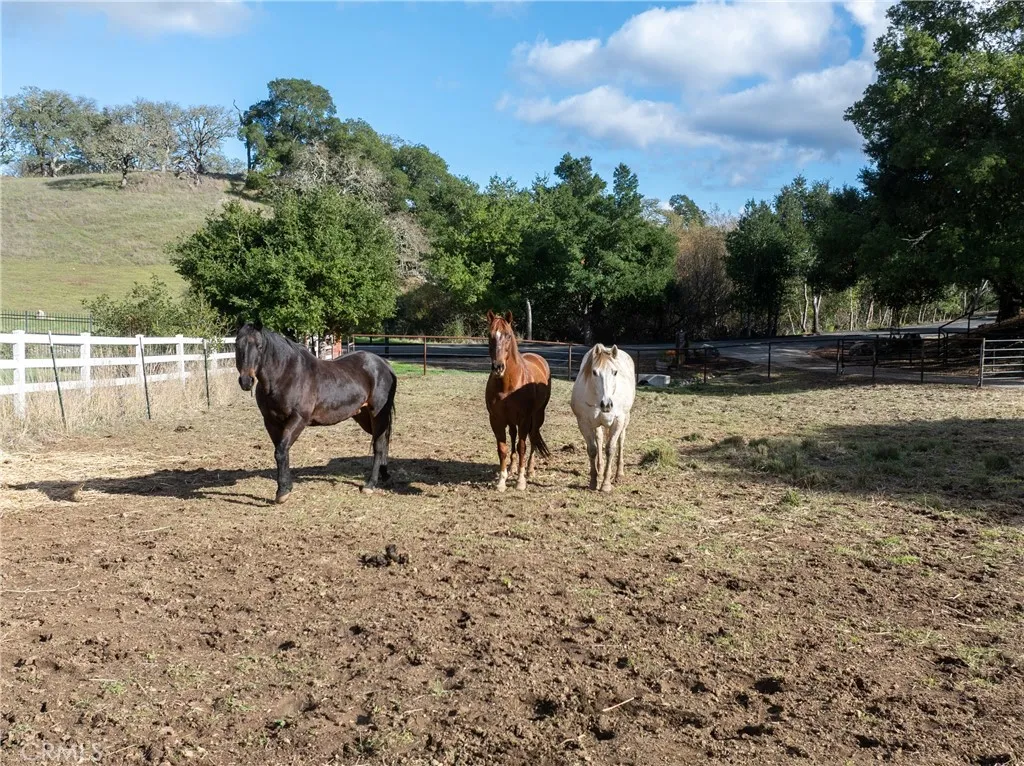 Additional image 143 of 10844 Vista Rd, Atascadero, CA 93422