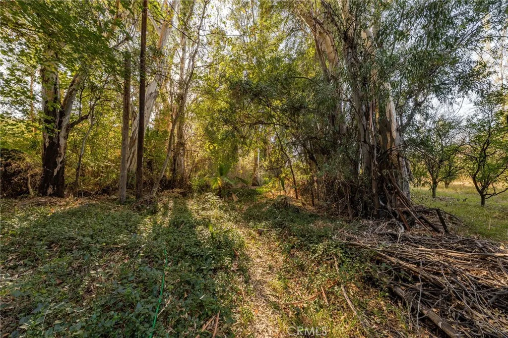 Additional image 16 of 2700 Mill Creek Road, Mentone, CA 92359