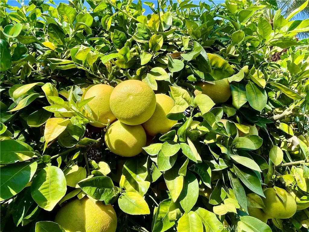 Additional image 48 of 40990 Paxton Drive Unit 7, Rancho Mirage, CA 92270