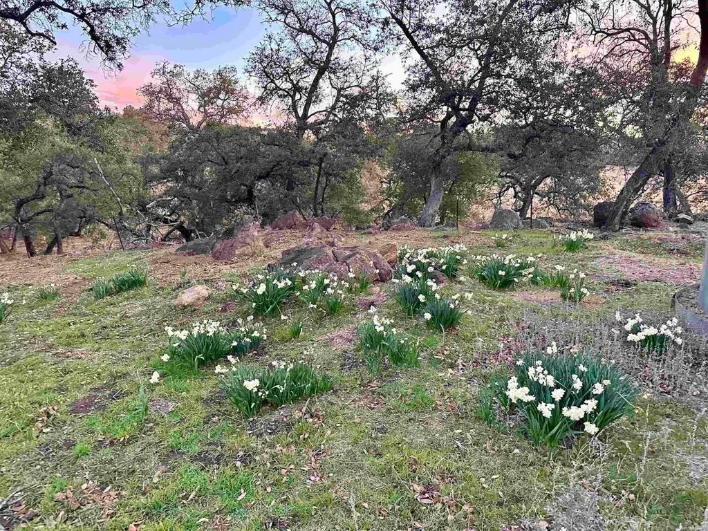 Additional image 46 of 25258 Black Canyon Road, Santa Ysabel, CA 92070