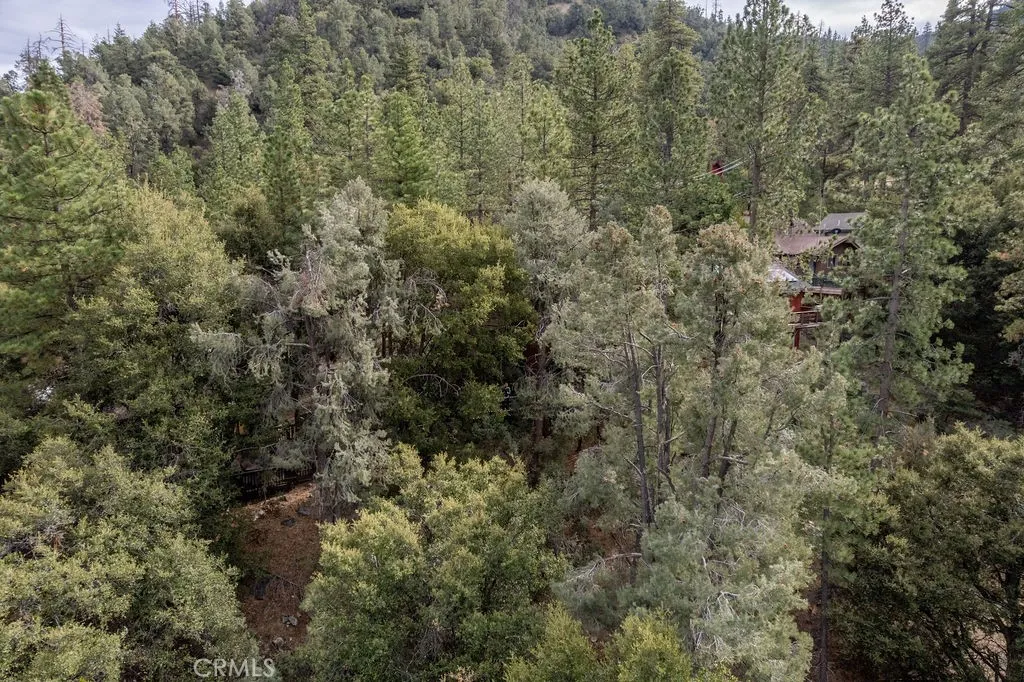 Additional image 118 of 1521 Bernina Drive, Pine Mountain Club, CA 93222
