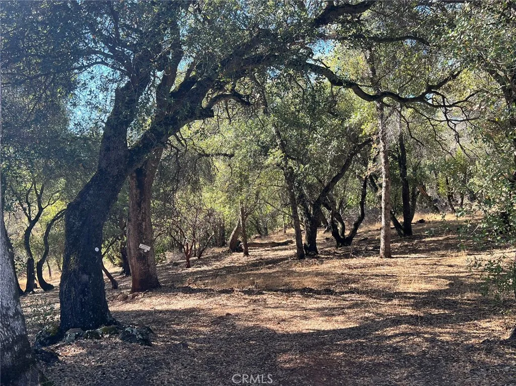 Additional image 18 of 110 Roemelt Lane, Oroville, CA 95966