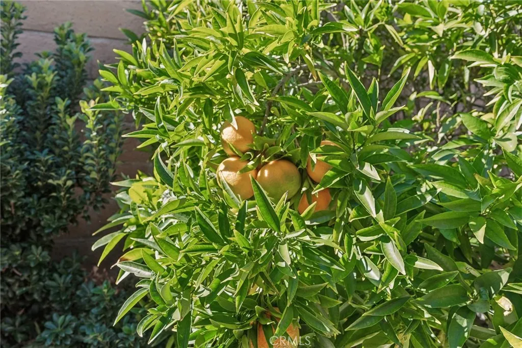 Additional image 35 of 27301 Monforte, Mission Viejo, CA 92692