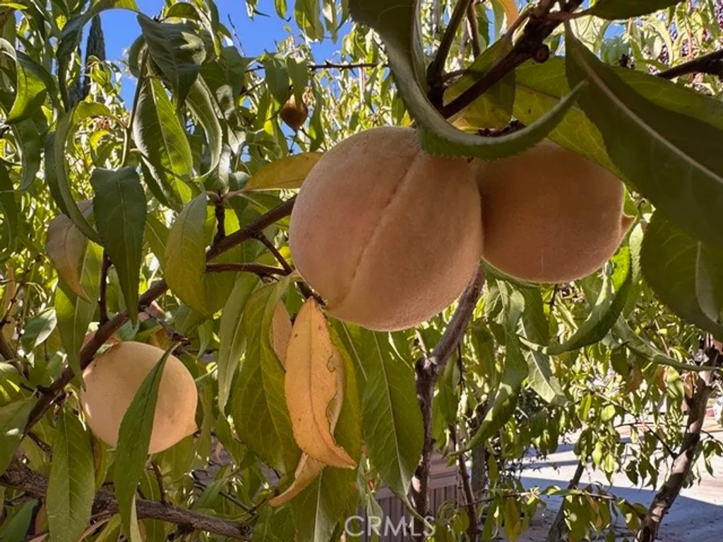 Additional image 4 of 913 S Grand Avenue Unit 172, San Jacinto, CA 92582