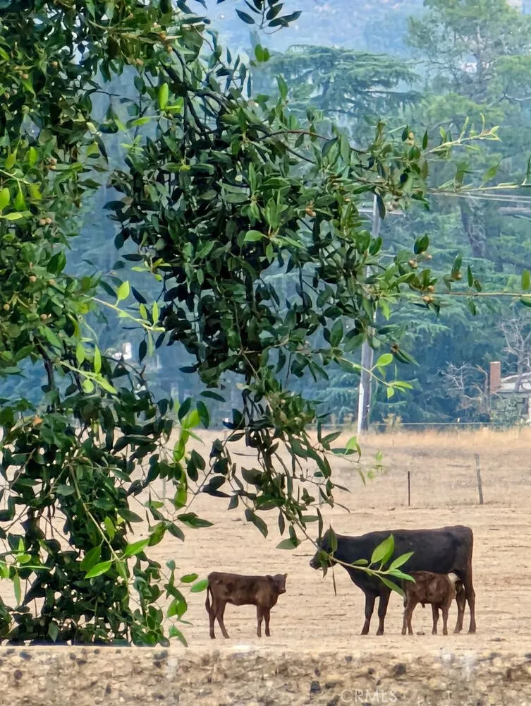 Additional image 122 of 860 Annandale, Beaumont, CA 92223