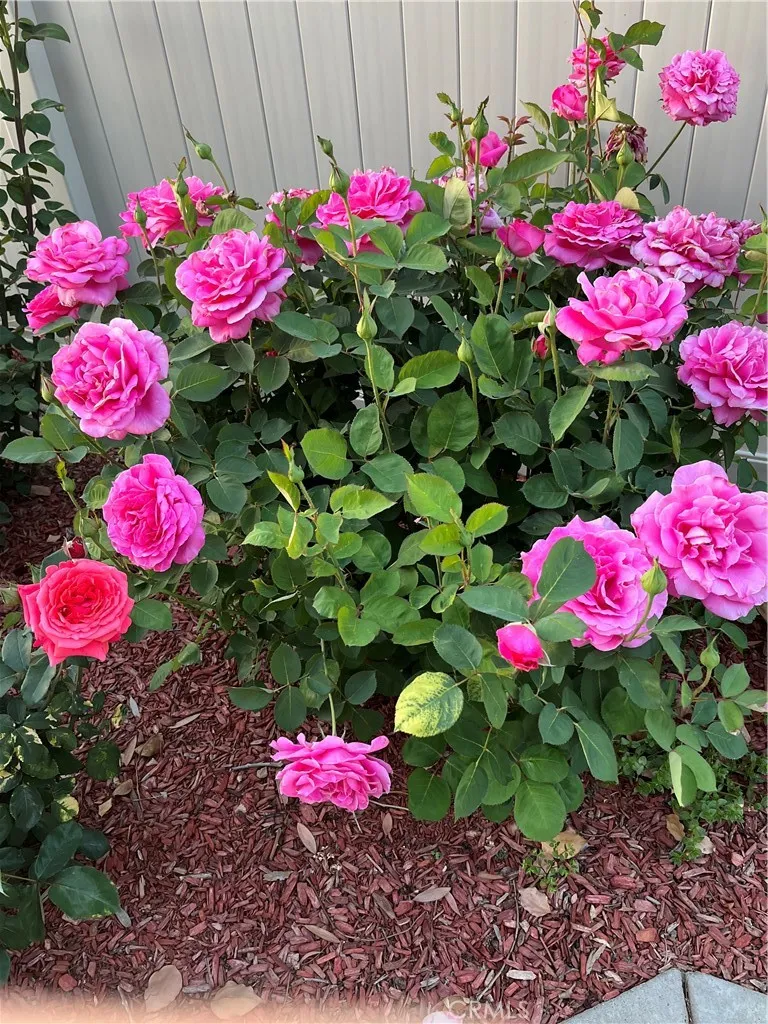 Additional image 105 of 40083 Corte Lorca, Murrieta, CA 92562