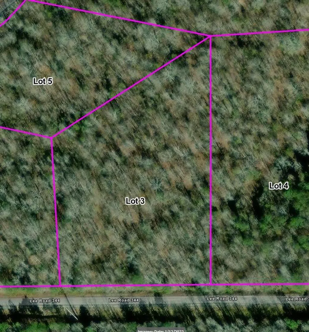 Property image for Lot 4 Lee Road 344, Salem, AL 36874