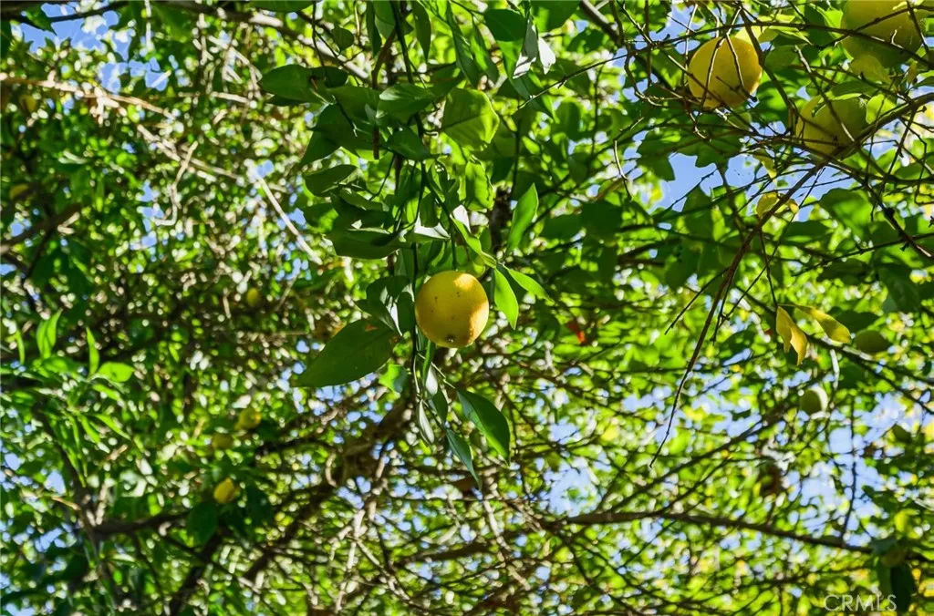 Additional image 108 of 26850 Columbia Street, Hemet, CA 92544