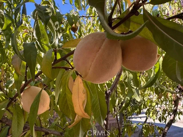 Additional image 29 of 913 S Grand Avenue Unit 172, San Jacinto, CA 92582