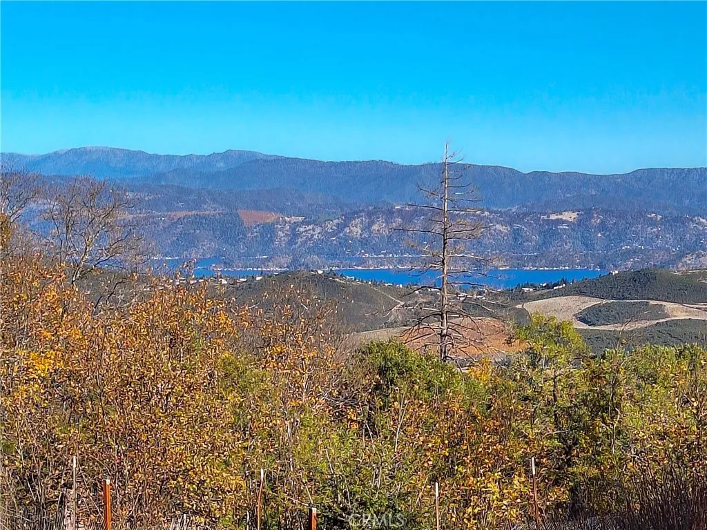 Additional image 84 of 9184 Diamond Dust Trl, Kelseyville, CA 95451