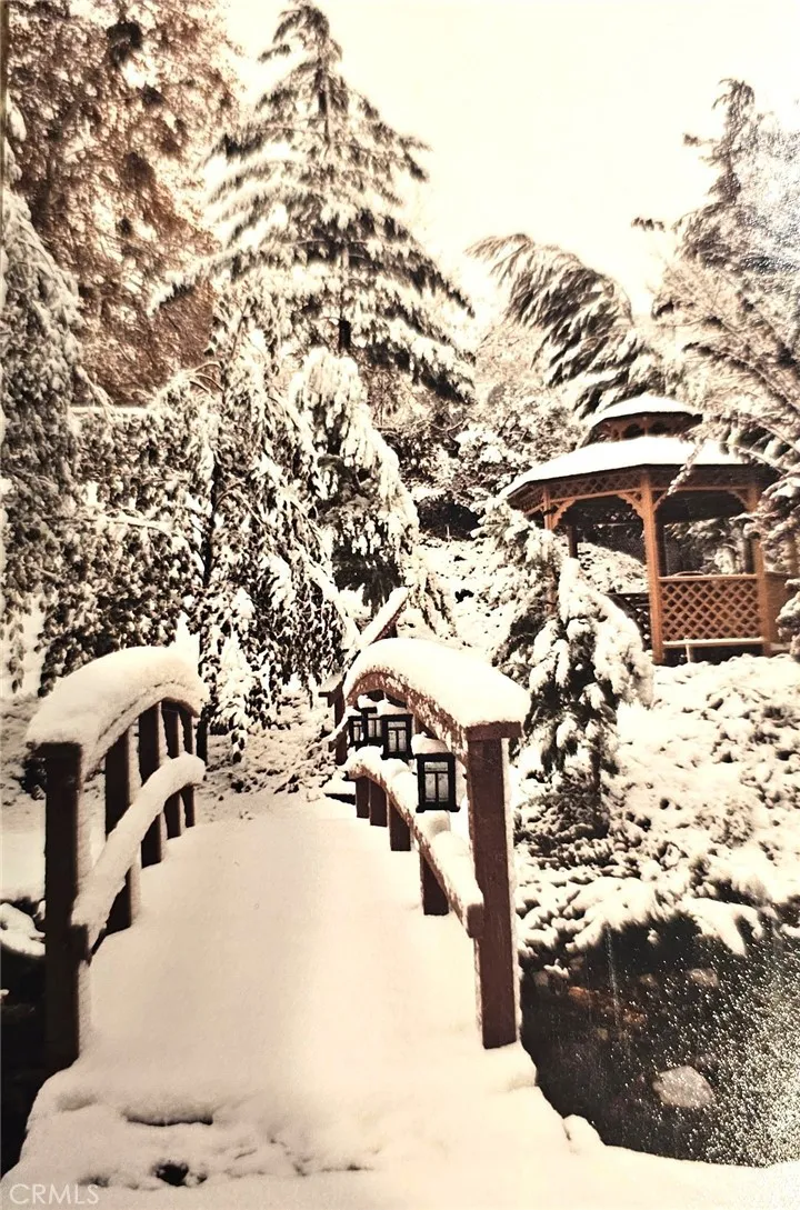 Additional image 95 of 323 Alder, Lytle Creek, CA 92358