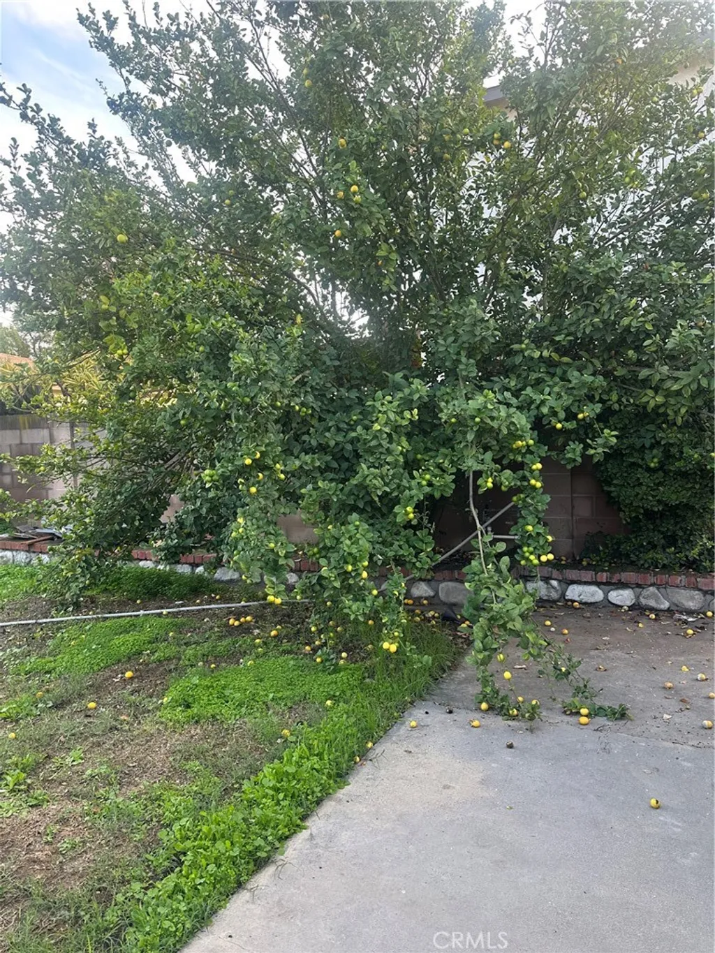 Additional image 20 of 404 Sievers Avenue, Brea, CA 92821