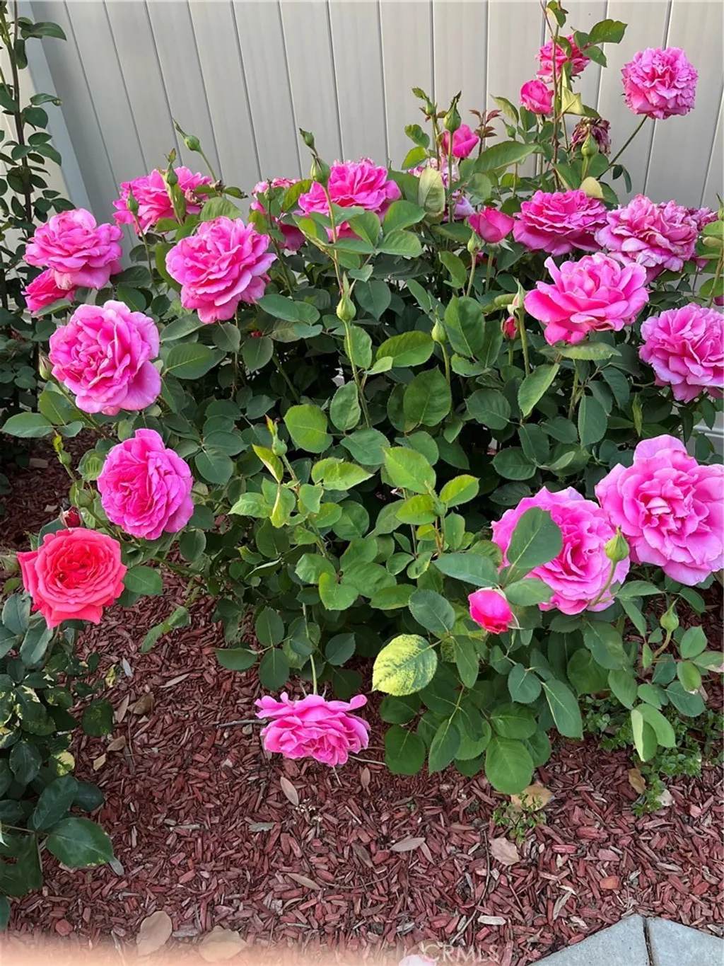 Additional image 53 of 40083 Corte Lorca, Murrieta, CA 92562