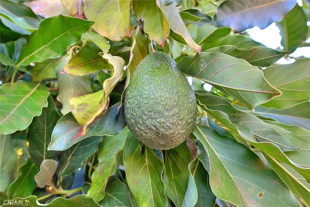 Additional image 25 of 12711 Tunstall St, Garden Grove, CA 92845